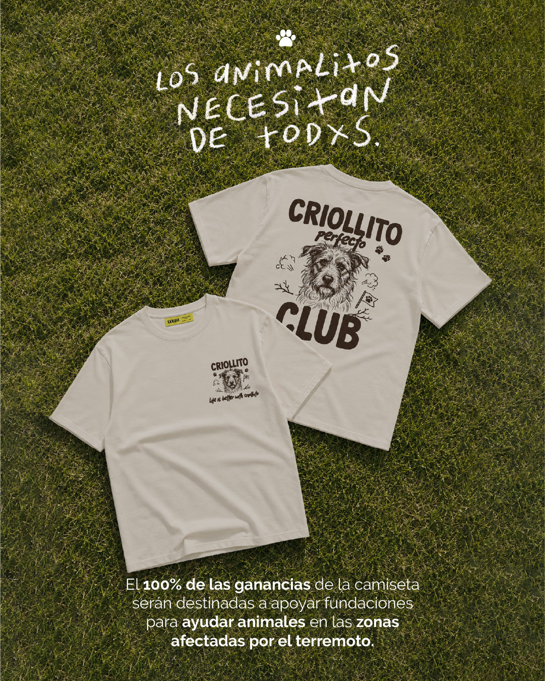 BannerM-CamisetaPerritos-14agosto2026-80.jpg