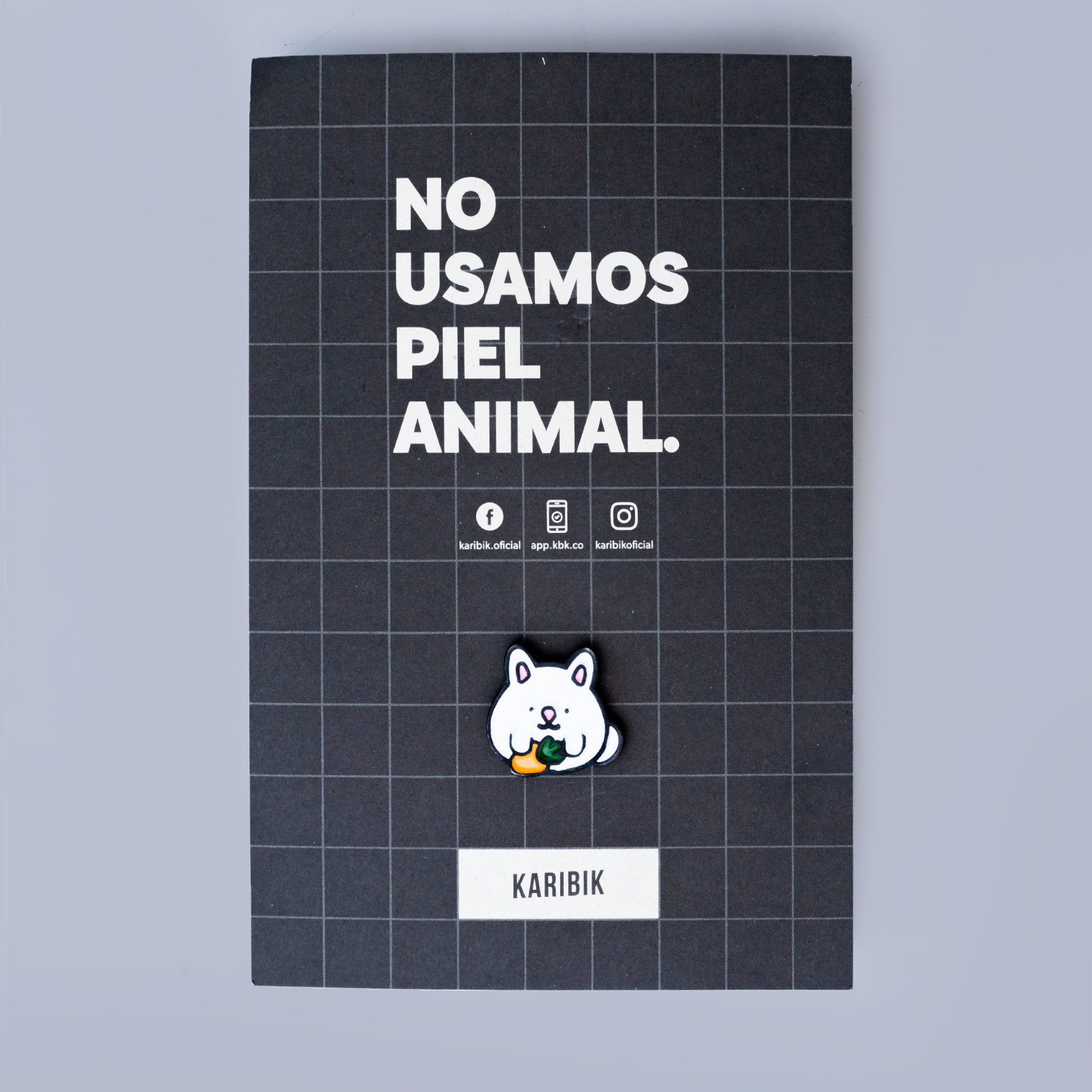 PIN LA CASA DE TODOS