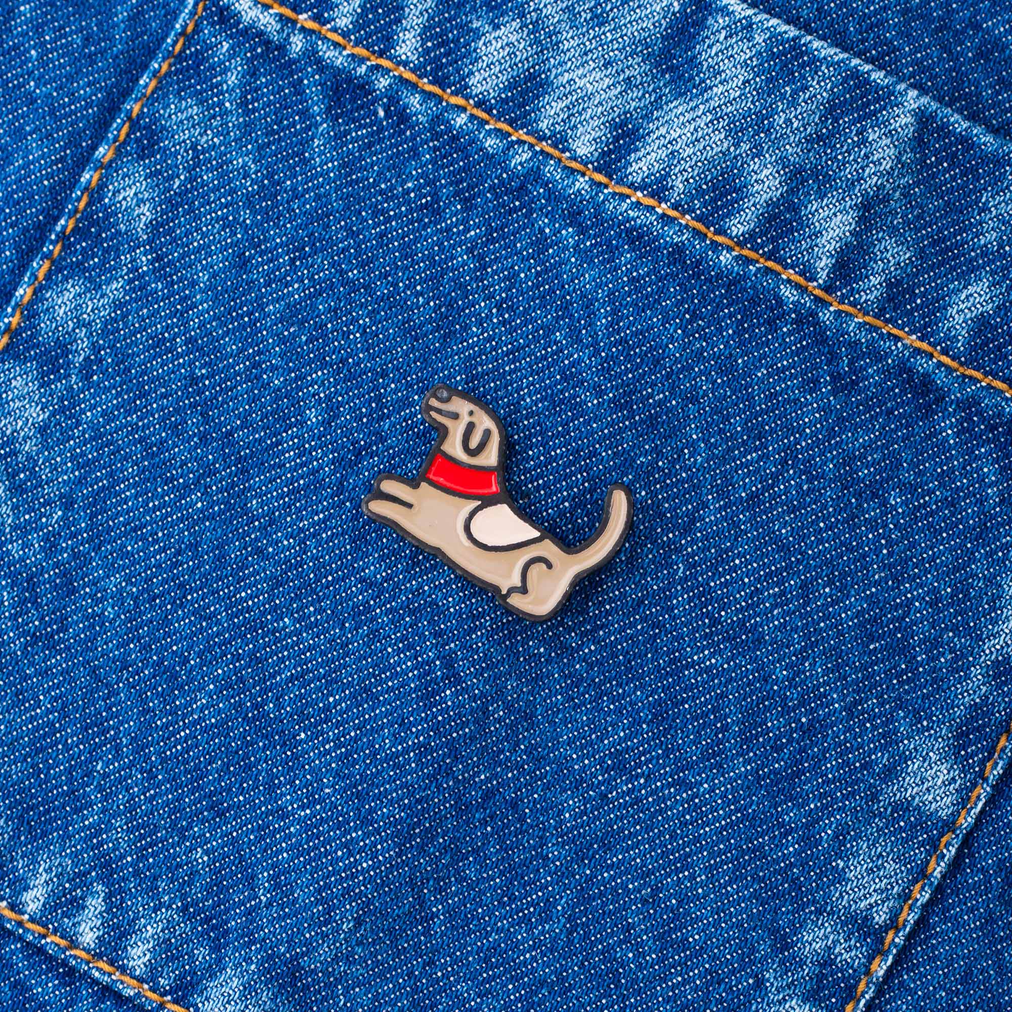 PIN WE LOVE CRIOLLOS